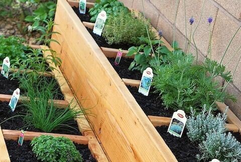 Секреты севооборота: как выбрать идеальные предшественники для вашего огорода