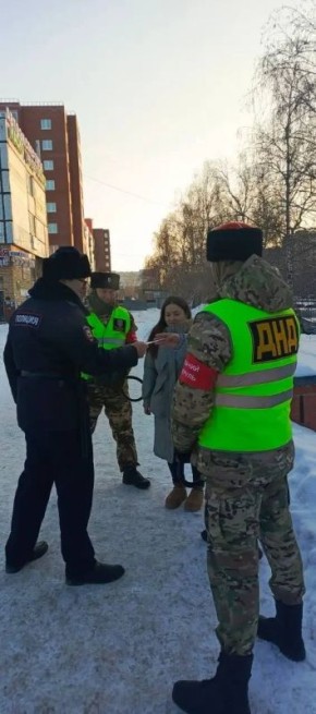 Я-дружинник, а -ты?. Тольяттинцев приглашают вступить в ряды добровольной народной дружины