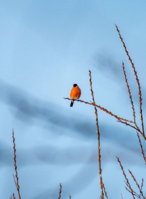 Доброе утро, Тольятти!. На календаре 17 марта