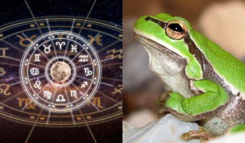 ����� ���� ������� ������������� ����� �������?