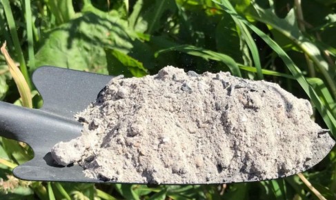 �������, ���� ��� ��������: ��� ������������� ���������� ��� ����� ��������?