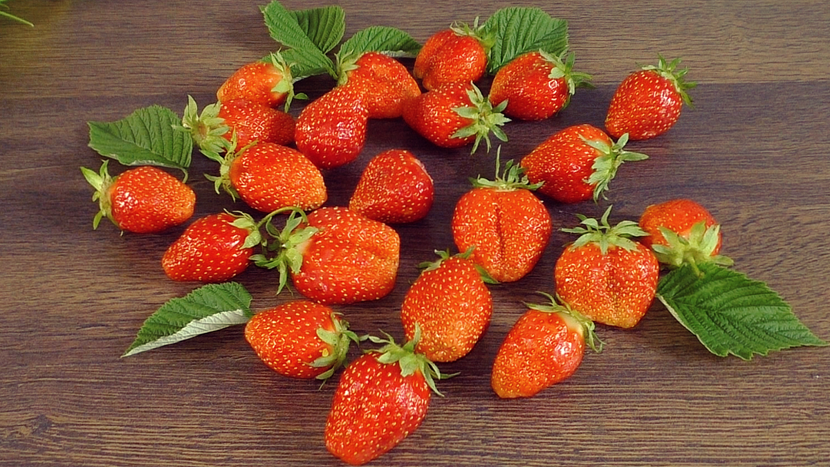 Быстрый ягодный пирог с клубникой: легкий рецепт для любого повода