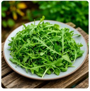 20 ������������ ������ � �������