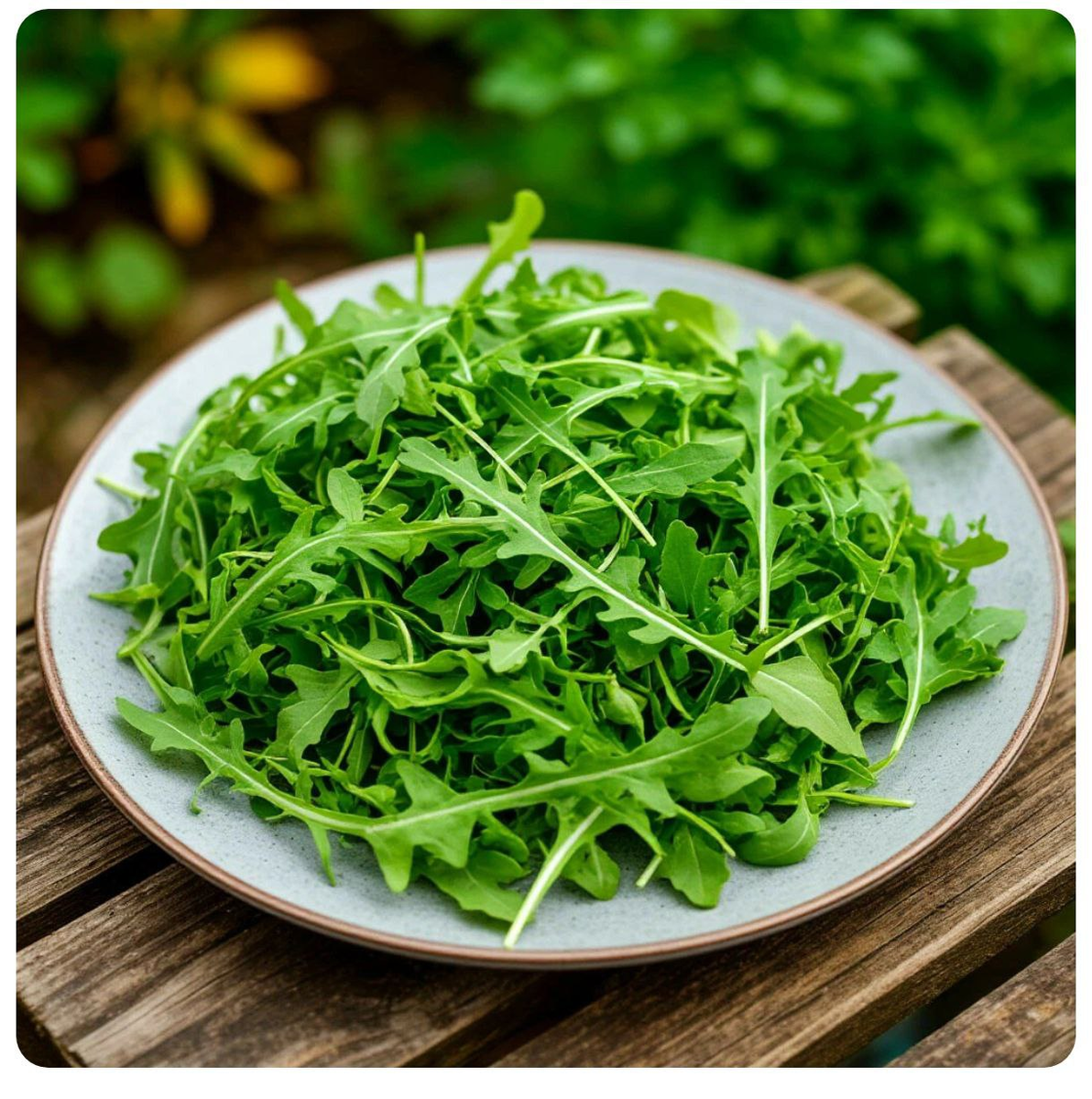 20 удивительных фактов о рукколе