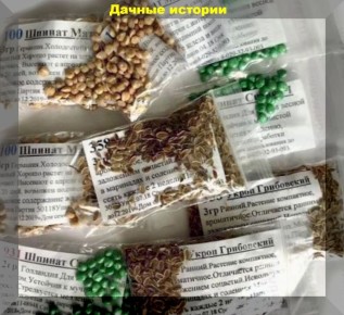 ����� �����: �������������� ������ ��� �������?