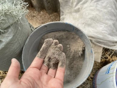 Как избежать распространенных ошибок при внесении золы на огороде