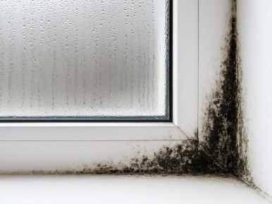 ������� ������: ������ ������� � ��� �� ��������