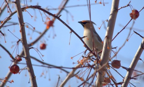 ������ ����, ��������!. �� ��������� 23 �����