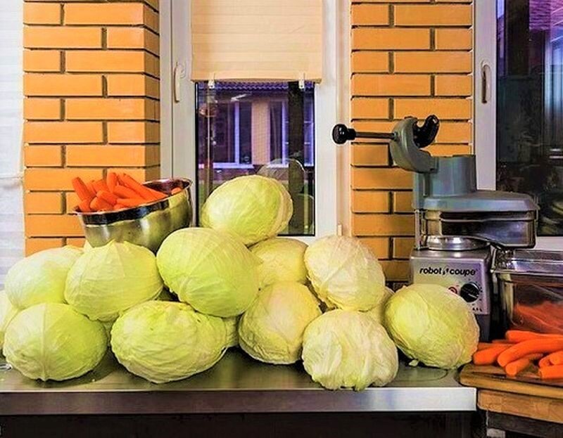Секреты вкусной квашеной капусты: 12 идеальных сортов для засолки