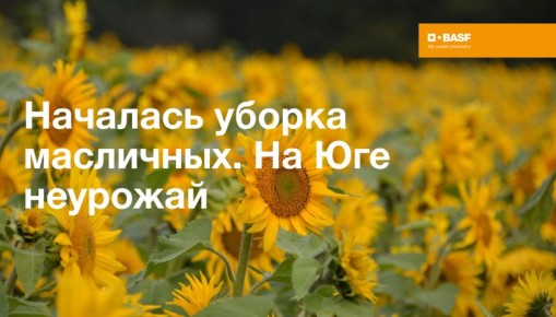 ������ ��������� � ������: ������ ��������� � ��������