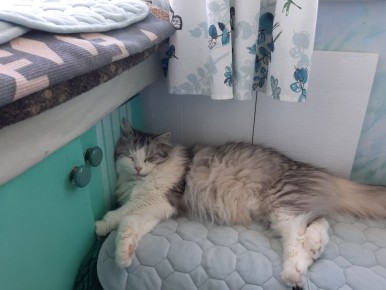 ����, ����� � ����� ���������� ��������