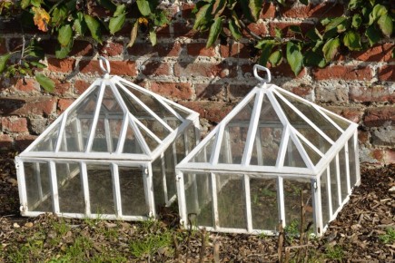 ������� �� ����� ����: �� �������� �� ��������