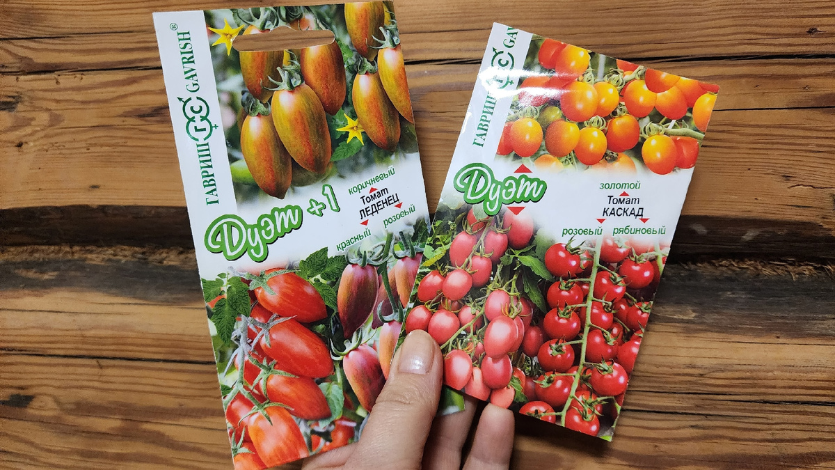 Незабываемые томаты для вашего сада в 2026 году