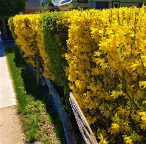 10 �����������, ������� ������� ��� ��� ����� � �������������