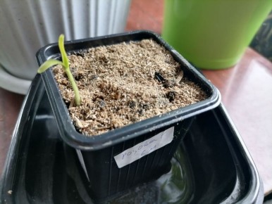 �� ����������� �����: ����� ������ � ������ ������������ ��������