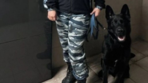 � ��������� ������� ��������� ������ ������� ����� ��������� 13-�� ������ �������