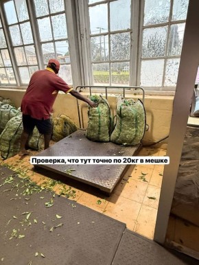 Цейлонский чай: от кофейных плантаций до мирового бренда