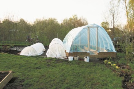 Как построить бюджетную теплицу: практические советы от Алёны Волковой