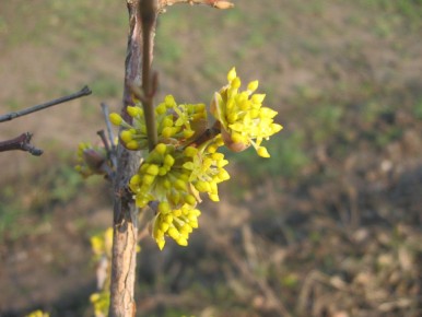 �����: ������� � ������ ��� �� ���������