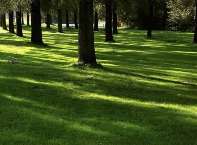 ��� ������� ��������� ����� � ����: ������� ������ ���� � �����