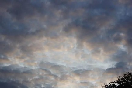 ���� ��������� ������������ ����������� � ��������