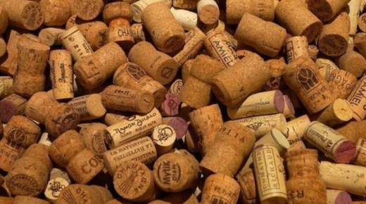 ��� ��������� ������������ ������ ������: ������������ ���� ��� ���