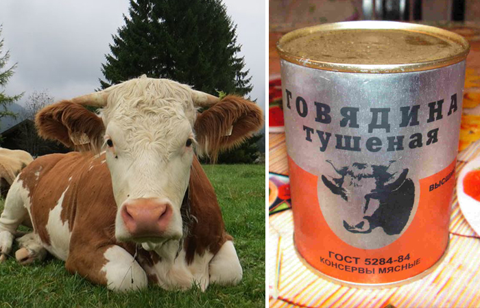 Почему мясо коровы прозвали говядиной, а не коровятиной