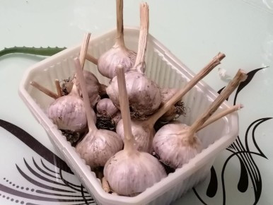 ��� ��������� ������� ������: �������� ������ � �������