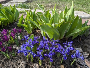 ���� ��������: ��� ������� ���������� ��������� ��� ������ ��������