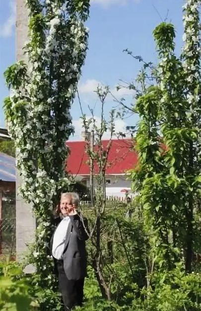 ��� ������� ������, �������� � �������: ������� �������� ���������