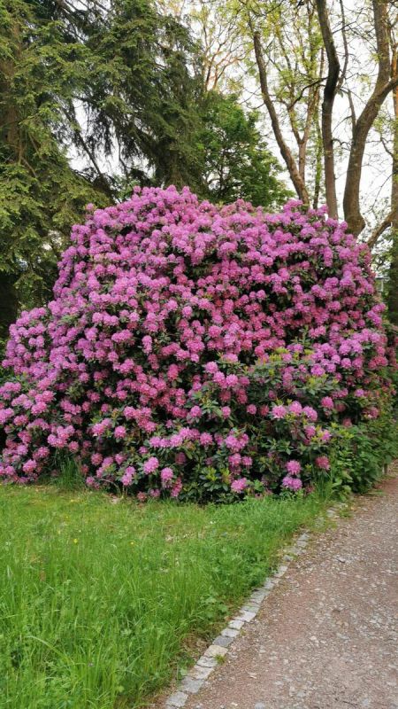 ����� ��� ����: ������ ��� ����� ��������� �����