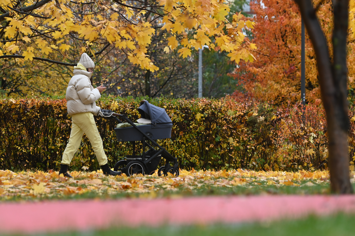 Пособия и алименты: что важно знать о лимите 8 МРОТ для единого пособия