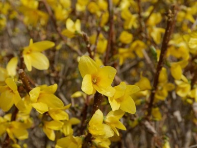 ������ ����������� ������ �����: 15 ��������, ������� ������� ��������� ��� ������� � ������