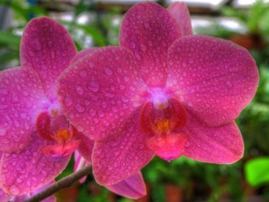 ��� ������� ������ ����� ���������� ������� � �������� ���������