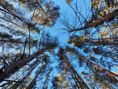 ������ ����, ��������!. �� ��������� 2 ������