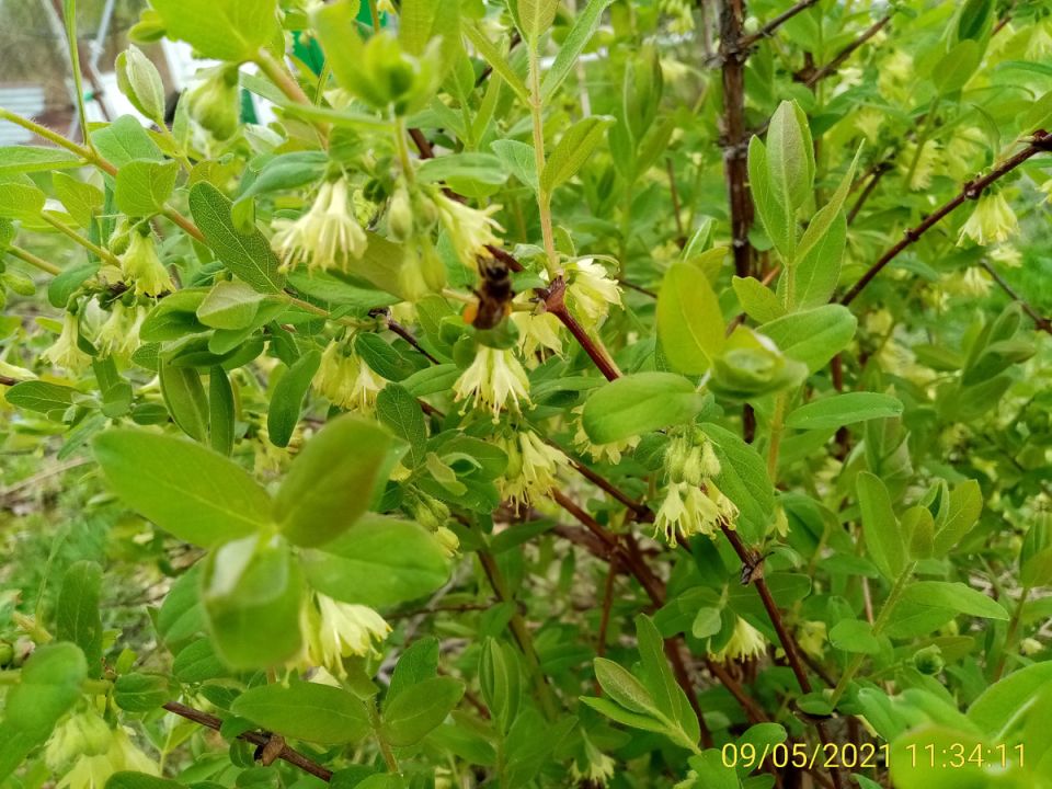 ��� ��������� �� ����������: ������� ��������� ������