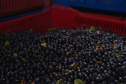 ��� ���������� �� ����� ����: ������ ��� ��������� � 2025 ����