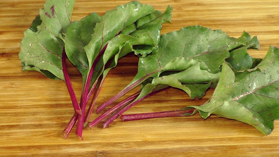 ������� � ������� ����� �� ���������� ����� �� 5 �����