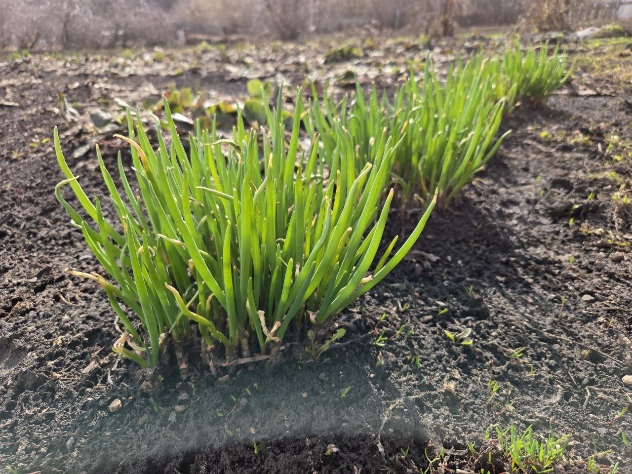С добрым утром, на календаре выходные!