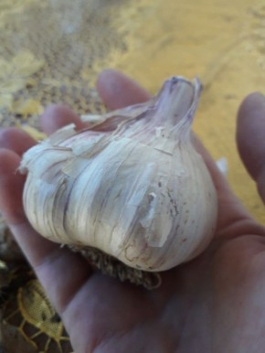 ��� ��������� ������ ������ �� ���������� ������: ������� � ����������� ������