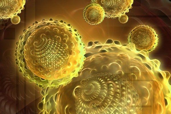 �������� ��������: ����������� � � �