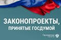 Госдума приняла ключевые законы на заседании 17 марта