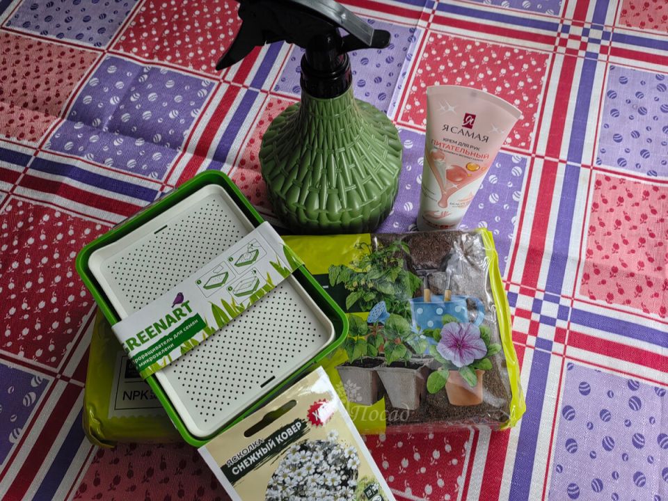 �������� ������� � ���� �����: ��� ����� ��� ���� � ������� � 2025 ����