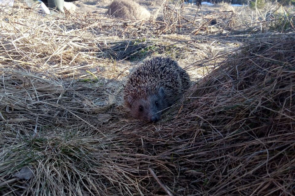 ��� ����� ���� ���� �������� ��������������� ��� �������� � ��������