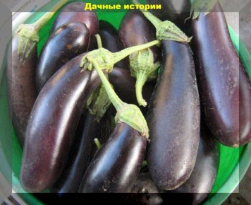 ����� ��������� ����������� ����������: ���� ������ ������ ��� ������ ������