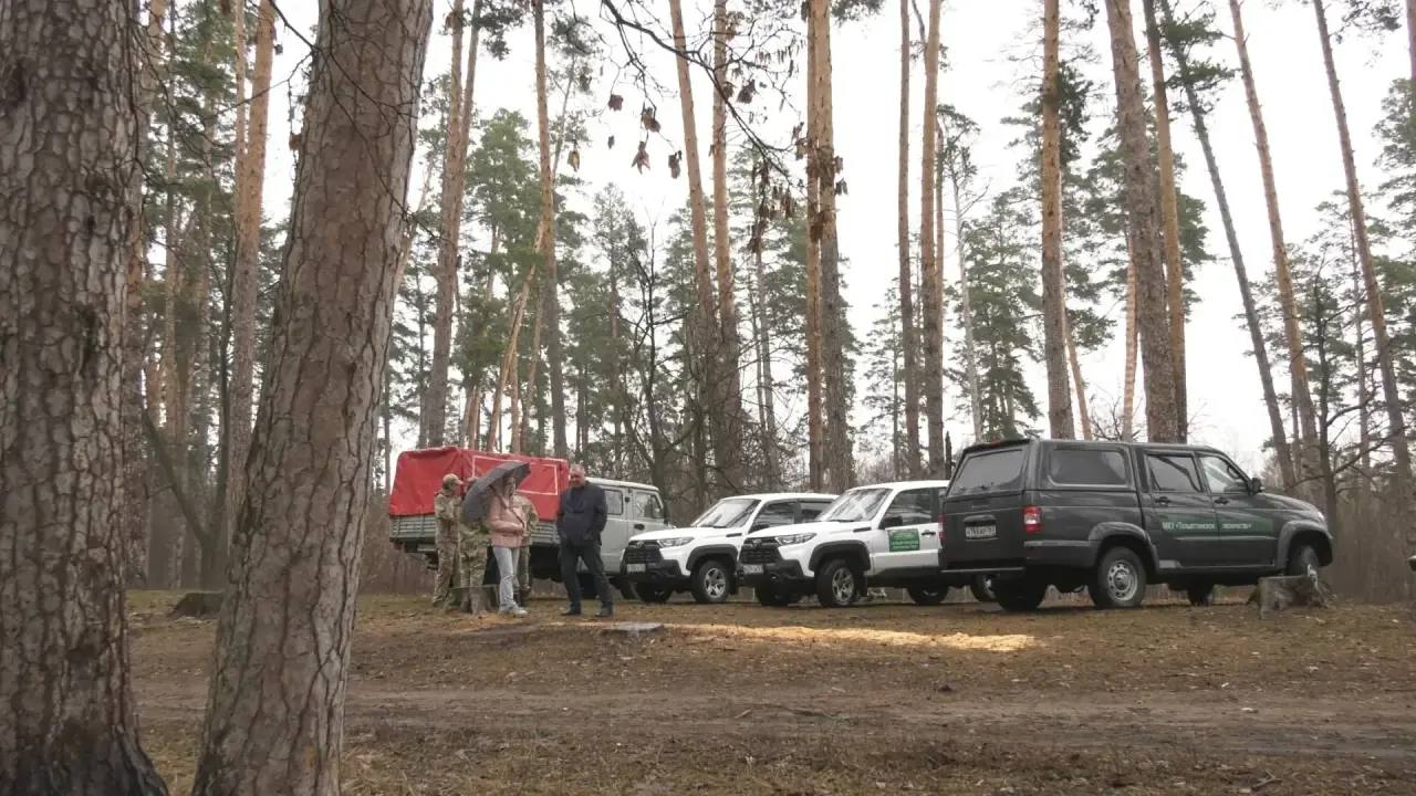 Кто следит за лесом изнутри? Камеры!