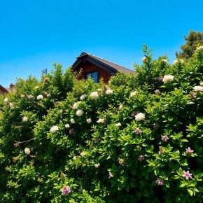 ��� ����������� ����� � ����� ������������ ������� ��� ��������� ��������� ������