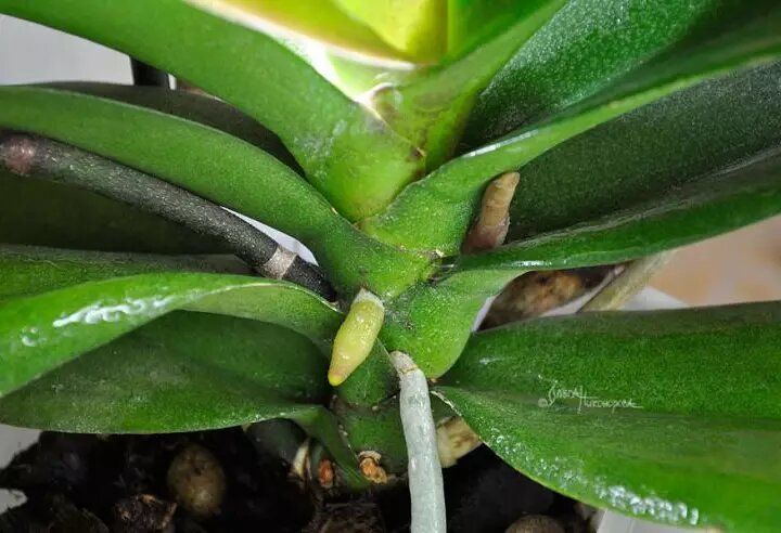 ������� ���������� �������� ������� � ������ �� �����