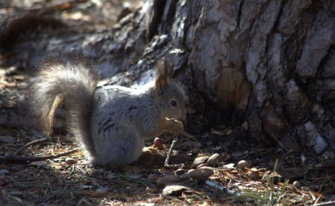 ������ ����, ��������!. �� ��������� 8 ������