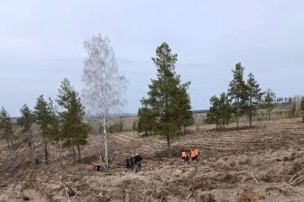 ������� ���������� � ������� ������ ����